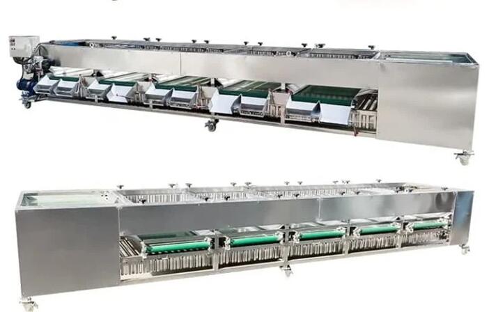 Potato Sorting Machines Potato Sorting Machines